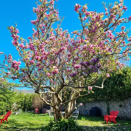 La Maison Bizienne&spa *