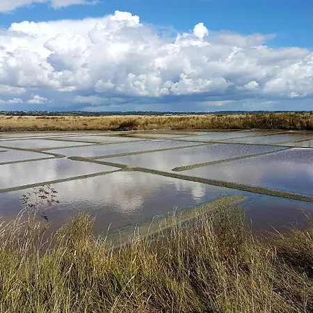 La Maison Bizienne - D'hotes De Charme Bed & Breakfast
